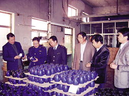 淄博陶瓷怎样 走 路更宽