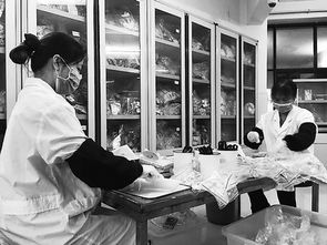 中越边境贸易进口水产品数量不断增加