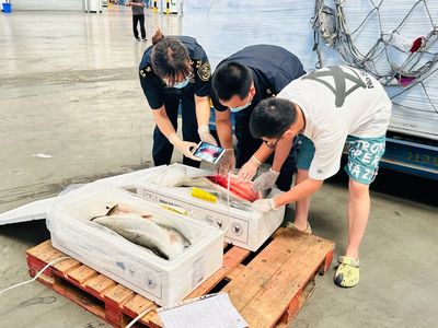 中国国门时报:从“一条线”到
