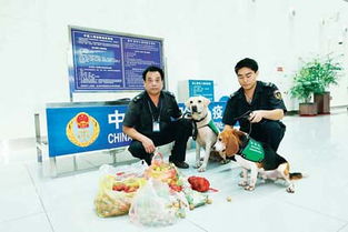 特种兵 守国门 检疫犬风采巡礼之二